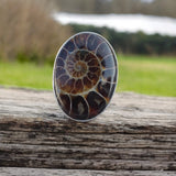 Ammonite Solid 925 Sterling Silver Ring 5