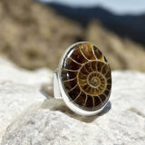 Ammonite Solid 925 Sterling Silver Ring 6