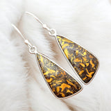 Coquina Jasper Solid 925 Sterling Silver Earrings