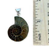 Ammonite Solid 925 Sterling Silver Pendant