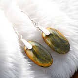 Falcon Hawk Blue Tiger Eye Solid 925 Sterling Silver Earrings