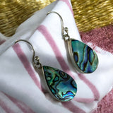 Abalone Solid 925 Sterling Silver Earrings