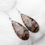 Honey Dendritic Opal Solid 925 Sterling Silver Earrings