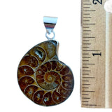 Ammonite Solid 925 Sterling Silver Pendant