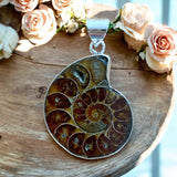 Ammonite Solid 925 Sterling Silver Pendant