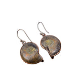 Ammonite Copper Earrings