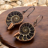 Ammonite Copper Earrings